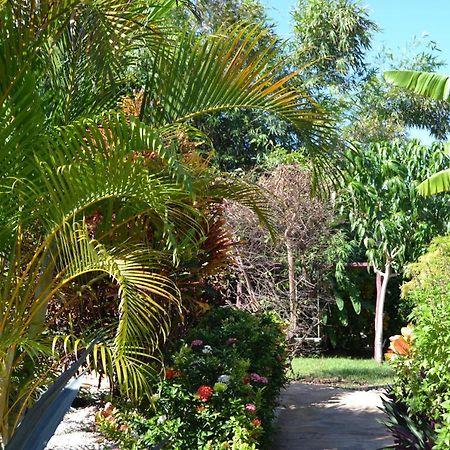 Ecovilla Coral Garden Baoruco 外观 照片